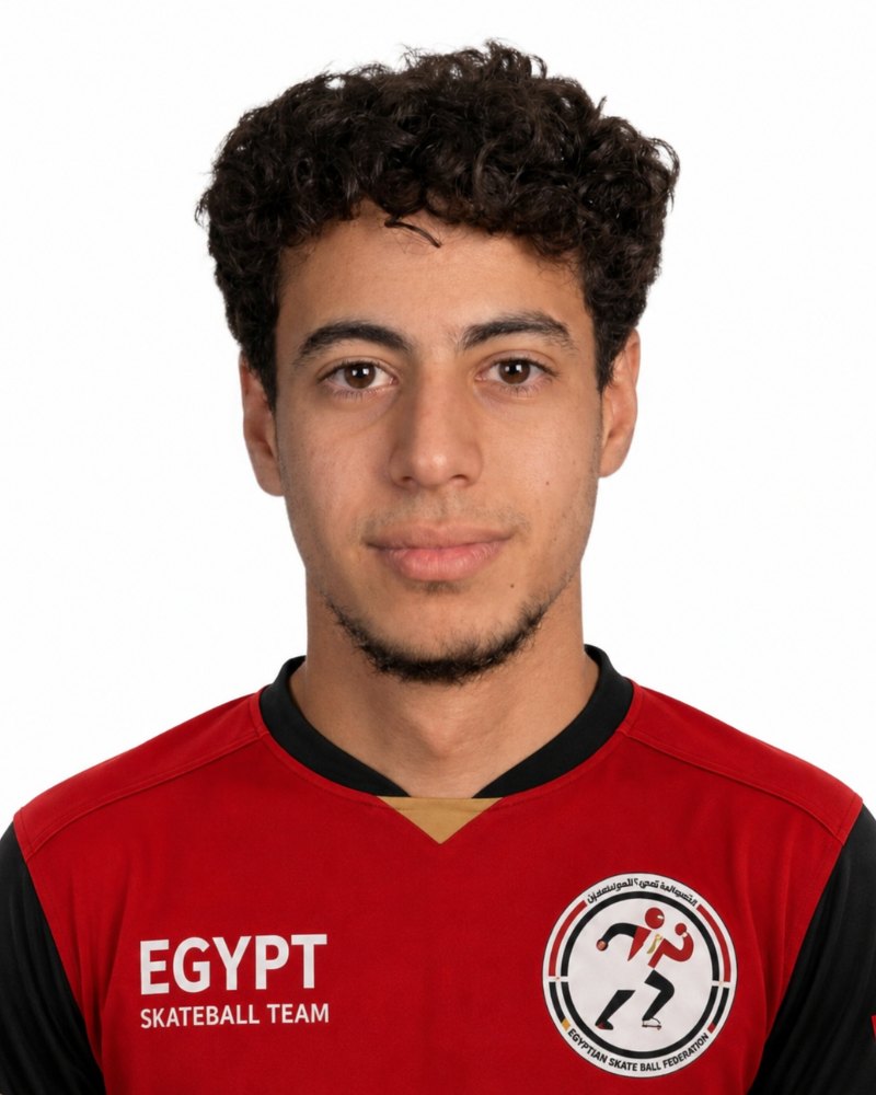 MOHEYELDIN ELZANFALY